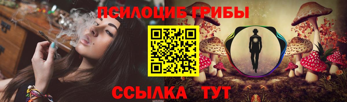 Псилоцибиновые грибы Psilocybe Грязи